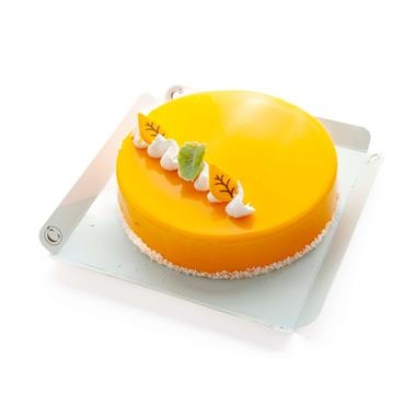 VALSAD - MOUSSE DE MANGO I CÍTRICS  | 51